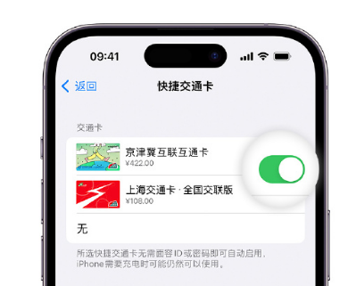 息烽apple维修点分享iPhone上更换Apple Pay快捷交通卡手绘卡面 