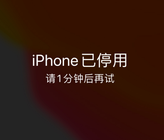 息烽苹果手机维修分享:iPhone 显示“不可用”或“已停用”怎么办？还能保留数据吗？ 