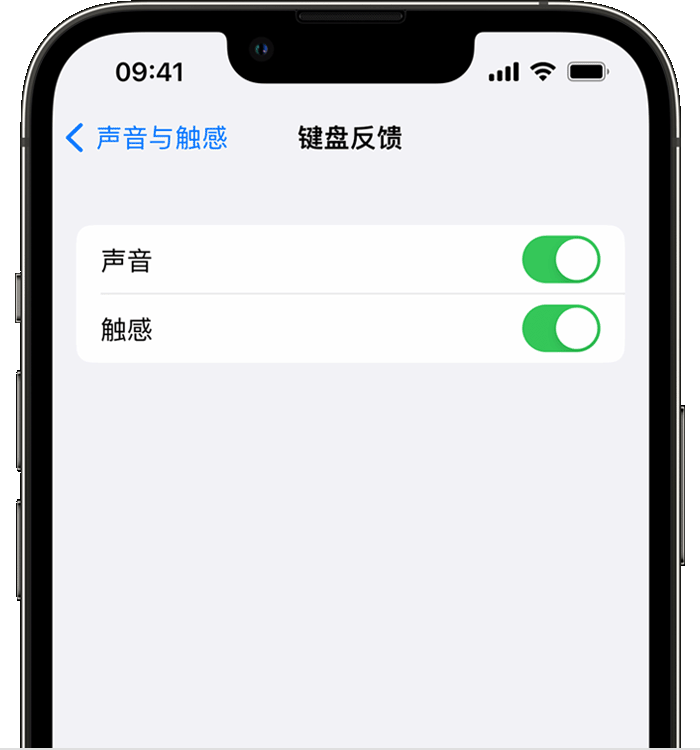 息烽苹果14维修店分享如何在 iPhone 14 机型中使用触感键盘 