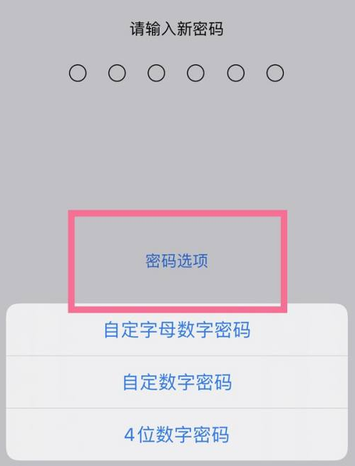 息烽苹果14维修分享iPhone 14plus设置密码的方法 