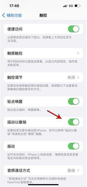 息烽苹果手机维修分享iPhone手机如何设置摇一摇删除文字 